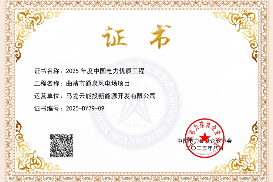 喜訊！通泉風(fēng)電場(chǎng)獲評(píng) 中國(guó)電力優(yōu)質(zhì)工程